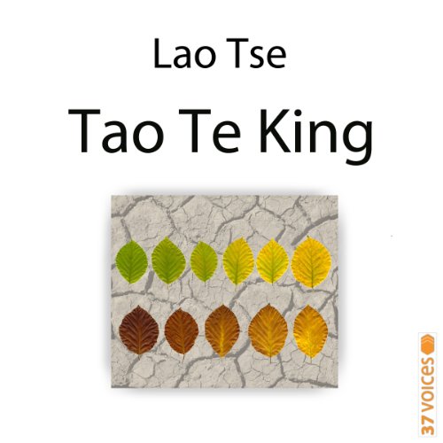 Cover of Tao Te King