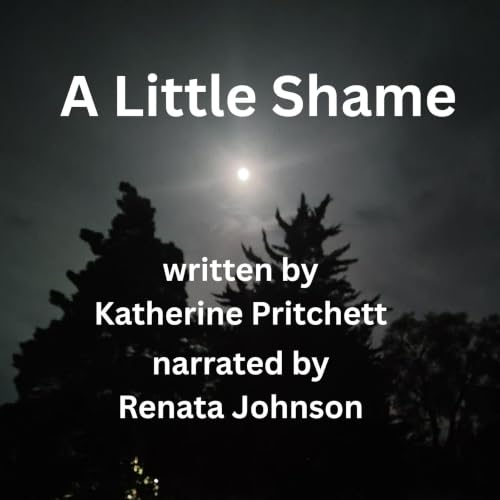 Cover of A Little Shame