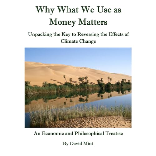 Cover of Why What We Use as Money Matters