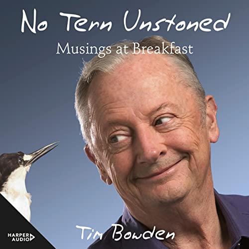 Cover of No Tern Unstoned
