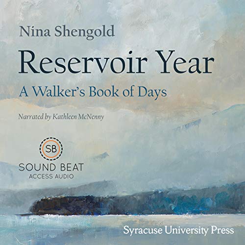 Cover of Reservoir Year
