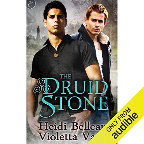 Cover of The Druid Stone