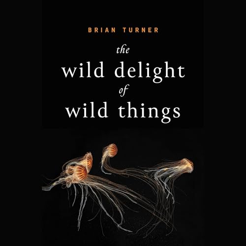 Cover of The Wild Delight of Wild Things