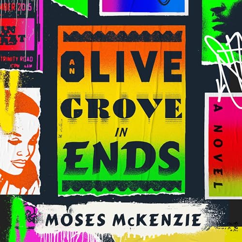 Cover of An Olive Grove in Ends