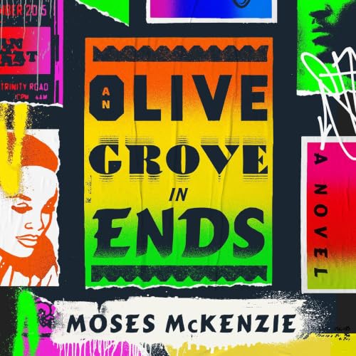 Cover of An Olive Grove in Ends