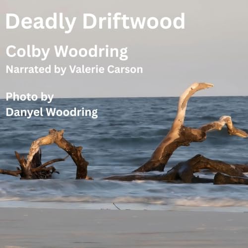 Cover of Deadly Driftwood