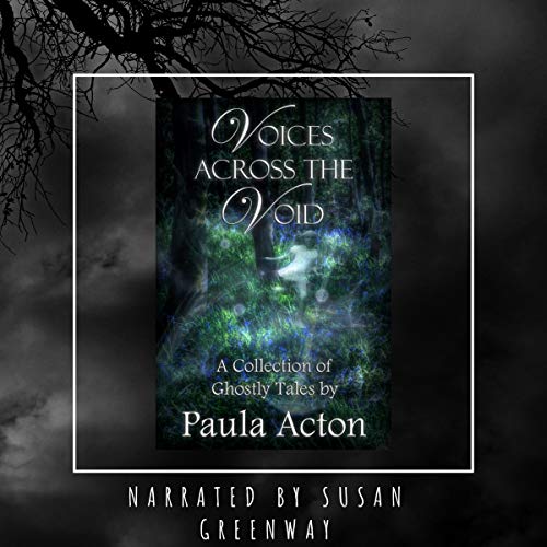 Cover of Voices Across the Void