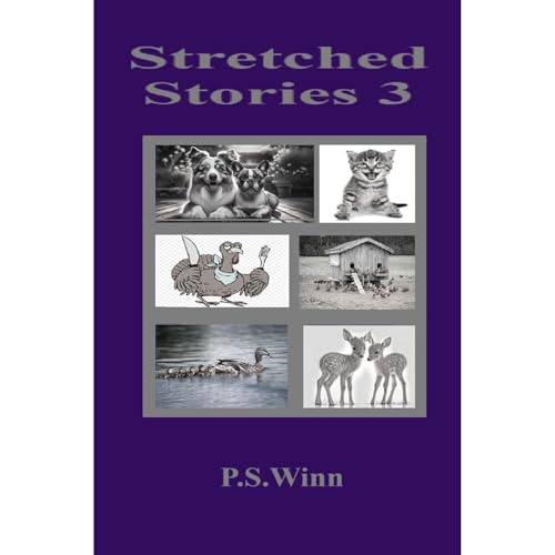 Cover of Stretched Stories 3