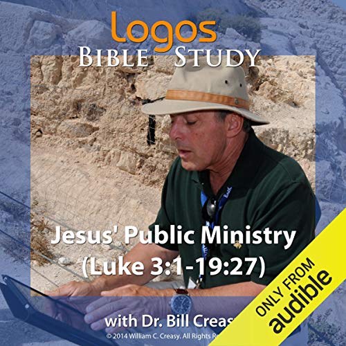 Cover of Jesus' Public Ministry (Luke 3: 1-19: 27)