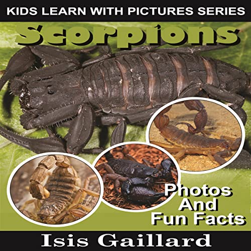 Cover of Scorpions