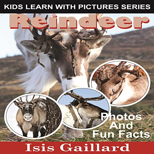 Cover of Reindeer