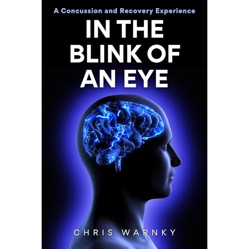 Cover of In the Blink of an Eye
