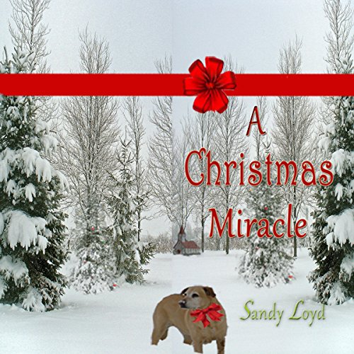 Cover of A Christmas Miracle