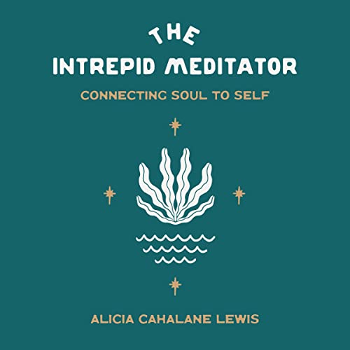 Cover of The Intrepid Meditator