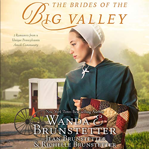 Cover of The Brides of the Big Valley