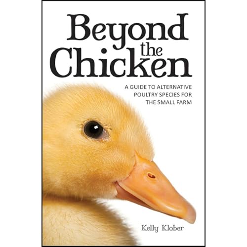 Cover of Beyond the Chicken