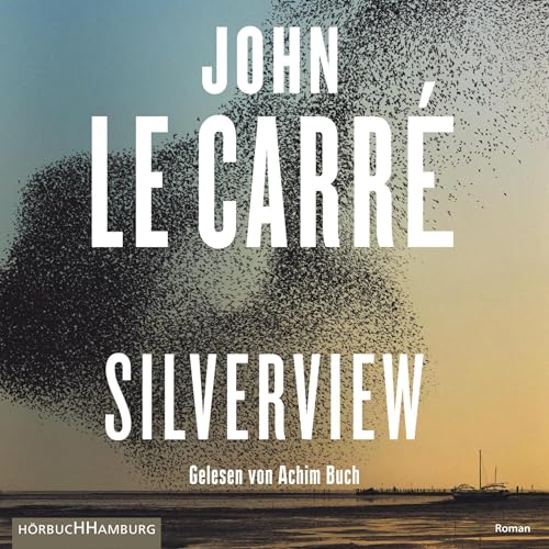 Cover of Silverview