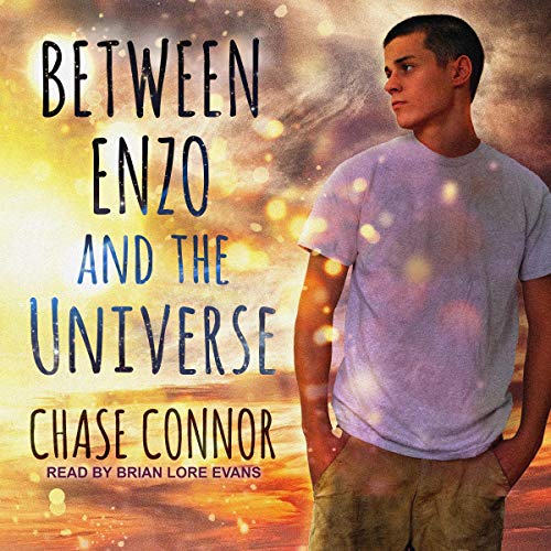 Cover of Between Enzo and the Universe