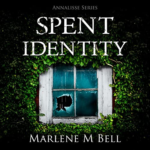 Cover of Spent Identity