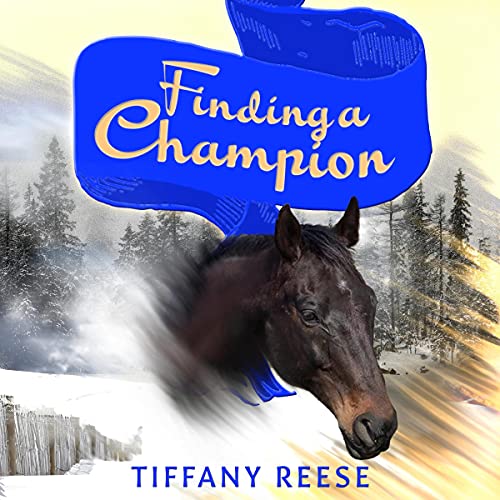 Cover of Finding a Champion