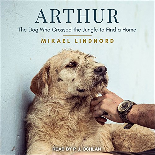 Cover of Arthur