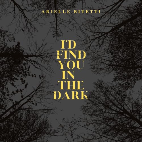 Cover of I'd Find You in the Dark