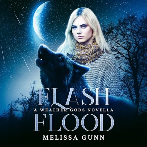 Cover of Flash Flood
