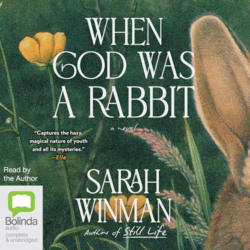 Cover of When God Was a Rabbit