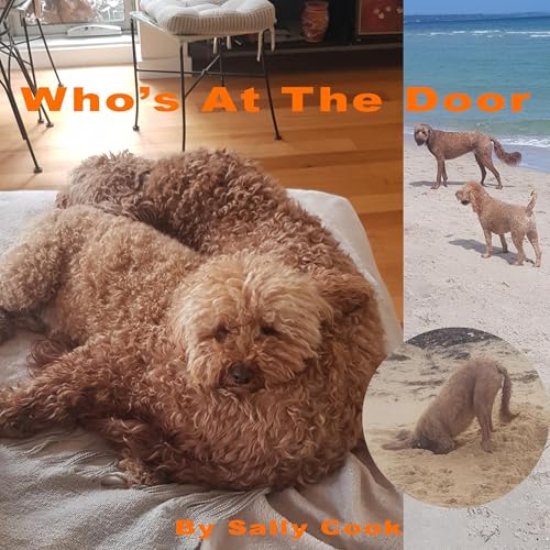 Cover of Who's at the Door