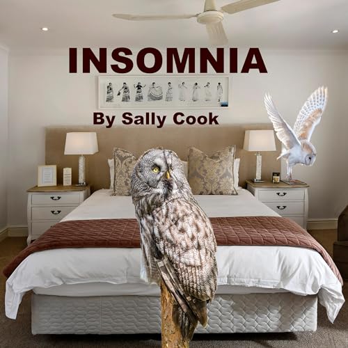 Cover of Insomnia