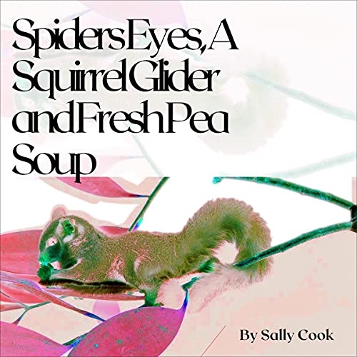 Cover of Spiders Eyes, a Squirrel Glider and Fresh Pea Soup
