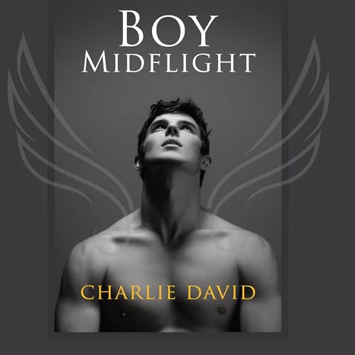 Cover of Boy Mid-Flight