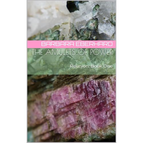 Cover of The Amulets of Power