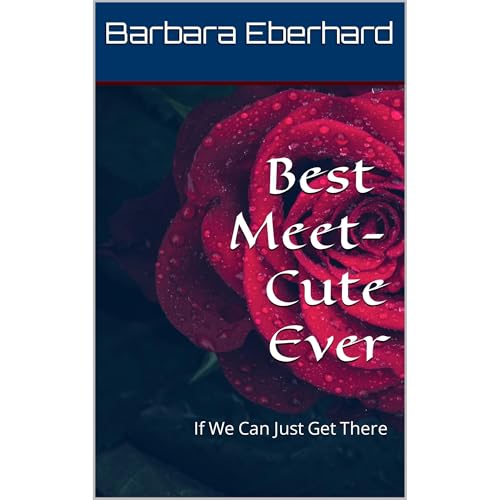 Cover of Best Meet-Cute Ever