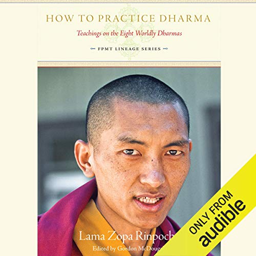 Cover of How to Practice Dharma