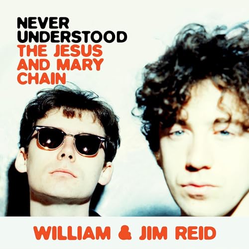 Cover of Never Understood