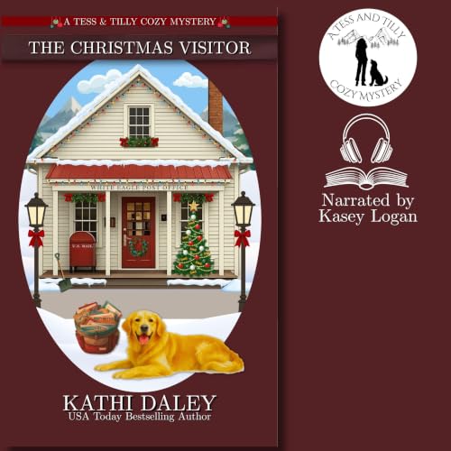 Cover of The Christmas Visitor