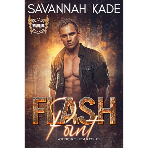 Cover of Flash Point