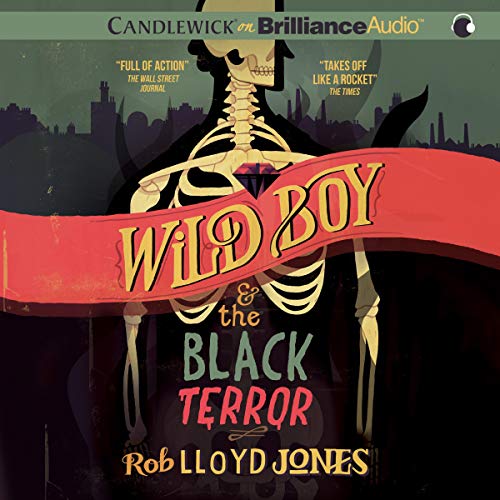 Cover of Wild Boy and the Black Terror