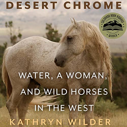 Cover of Desert Chrome