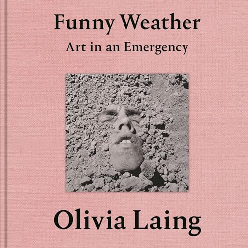 Cover of Funny Weather
