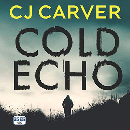 Cover of Cold Echo