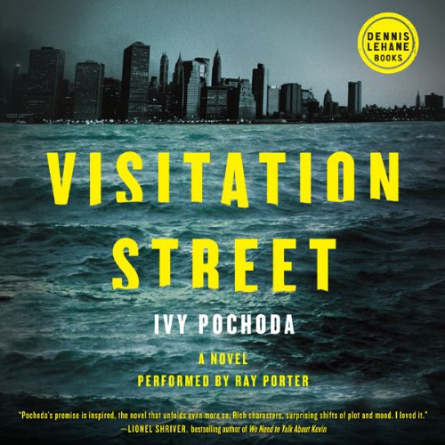 Cover of Visitation Street
