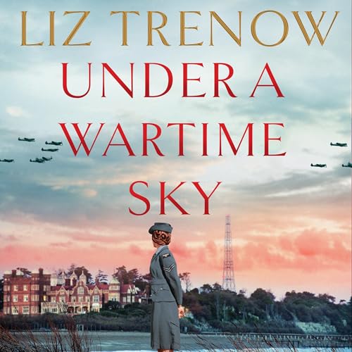 Cover of Under a Wartime Sky