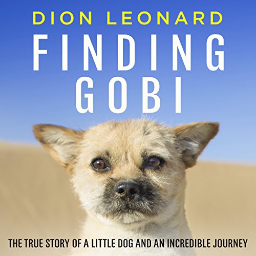 Cover of Finding Gobi (Main edition)
