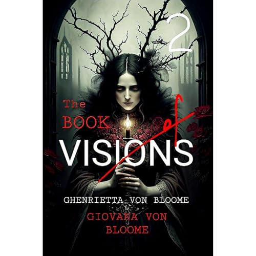 Cover of The BOOK of VISIONS 2