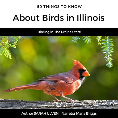Cover of 50 Things to Know About Birds in Illinois