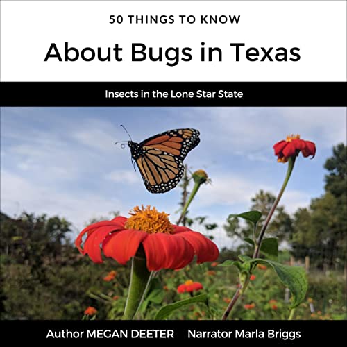 Cover of 50 Things to Know About Bugs in Texas