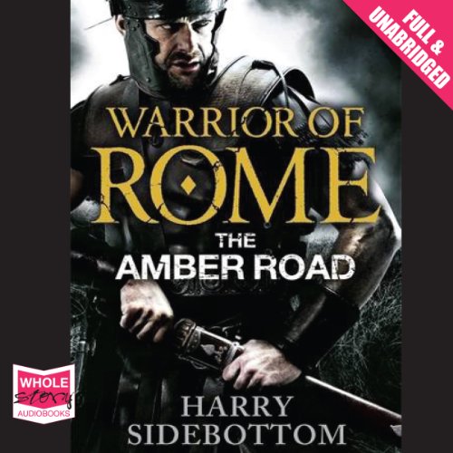 Cover of The Amber Road