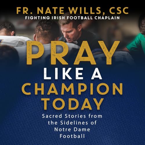 Cover of Pray Like a Champion Today